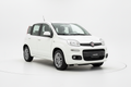Fiat Panda Hybrid Lounge - Bianca