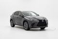 Lexus NX Hybrid Premium 4x4 - Grigio Scuro